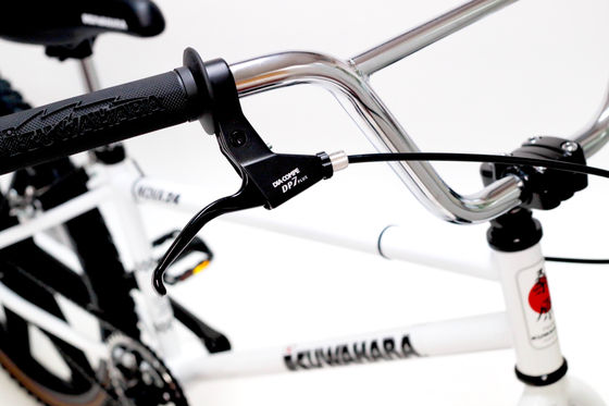 Nova 24 1st | Kuwahara Official