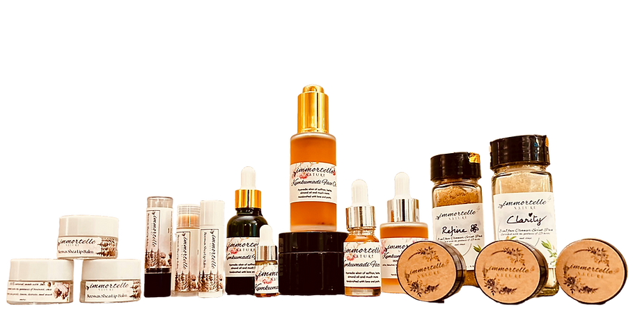 Immortelle Fleet.png