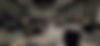 Resized_Resized_20241007_194806_1730405380705_1730405418359.jpeg