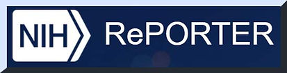 NIH reporter copy.jpg