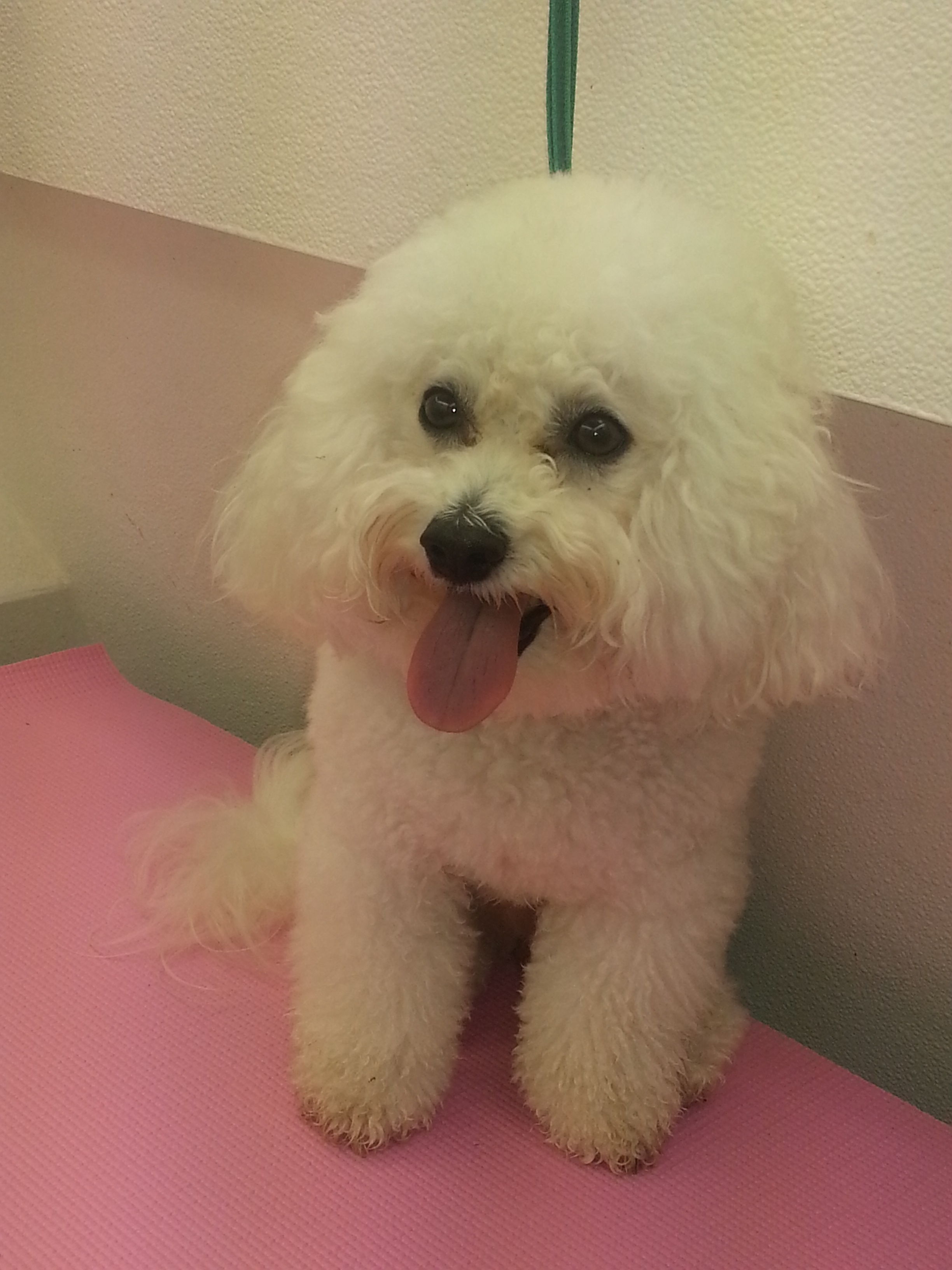 Before