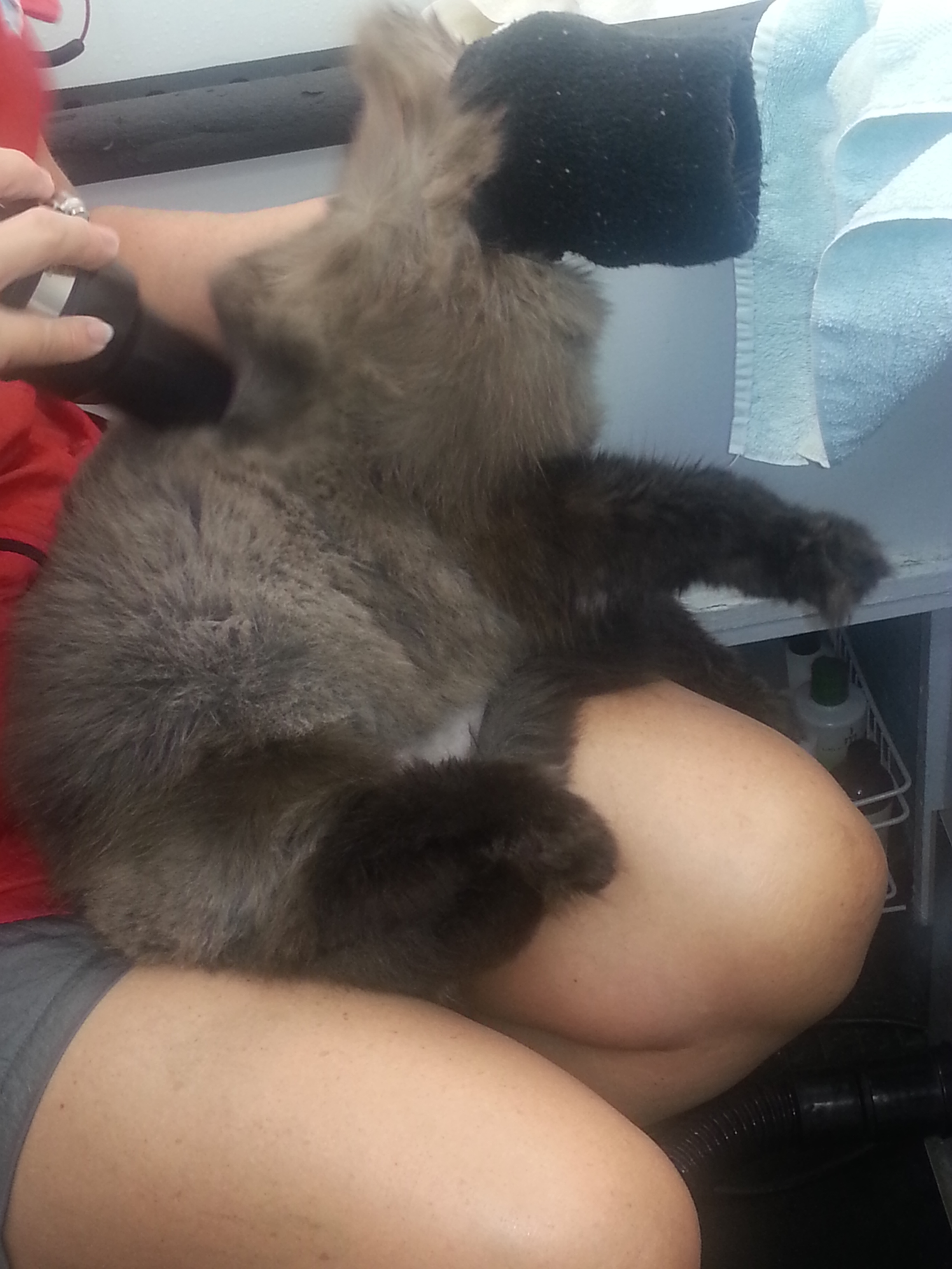 Lap Drying
