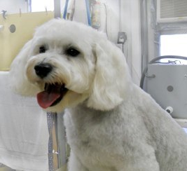 After