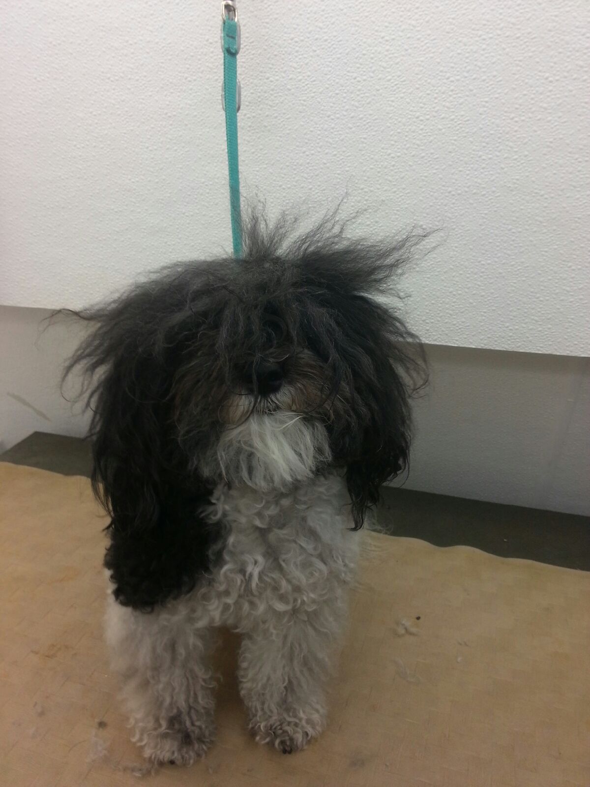 Mia Before