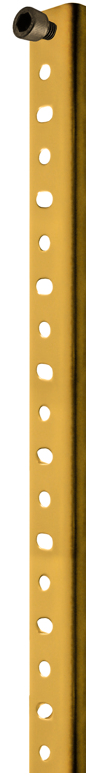 PARAL ESTANTERIA dorado luz.png
