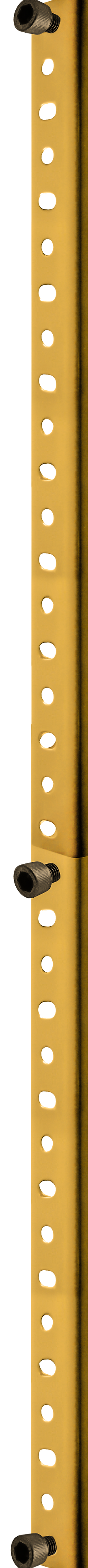 PARAL ESTANTERIA dorado luz.png
