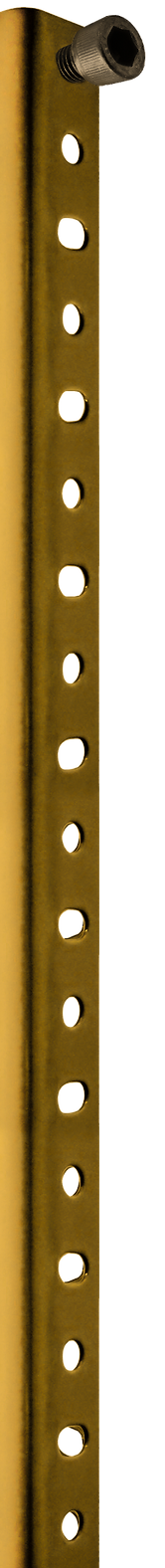 PARAL ESTANTERIA dorado luz.png