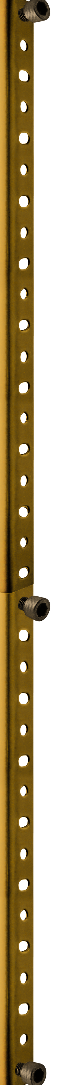 PARAL ESTANTERIA dorado luz.png