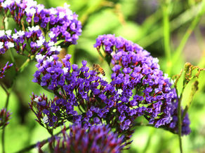 21년 10월 20일 (잠 20:24)