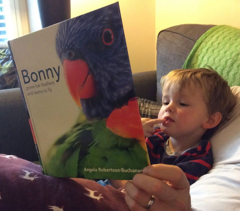 Thumbnail: Bonny Grows her Feathers and Learns to Fly