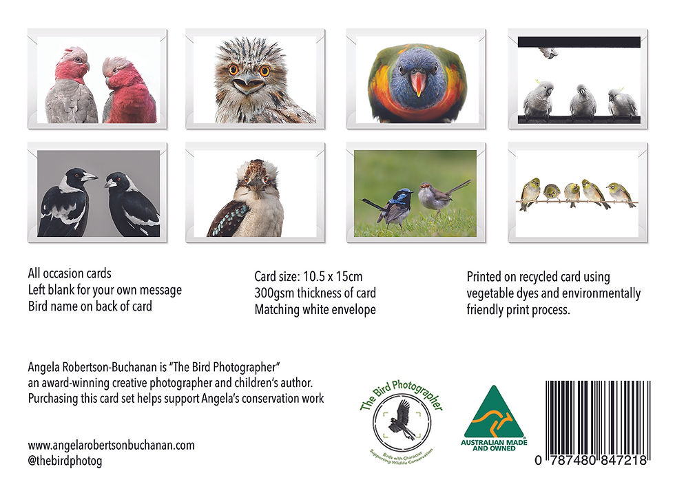 Thumbnail: Mixed Flock - Box of 8 Bird Cards