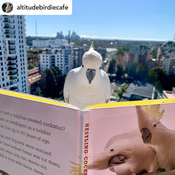 Instagram - Altitudebirdiecafe