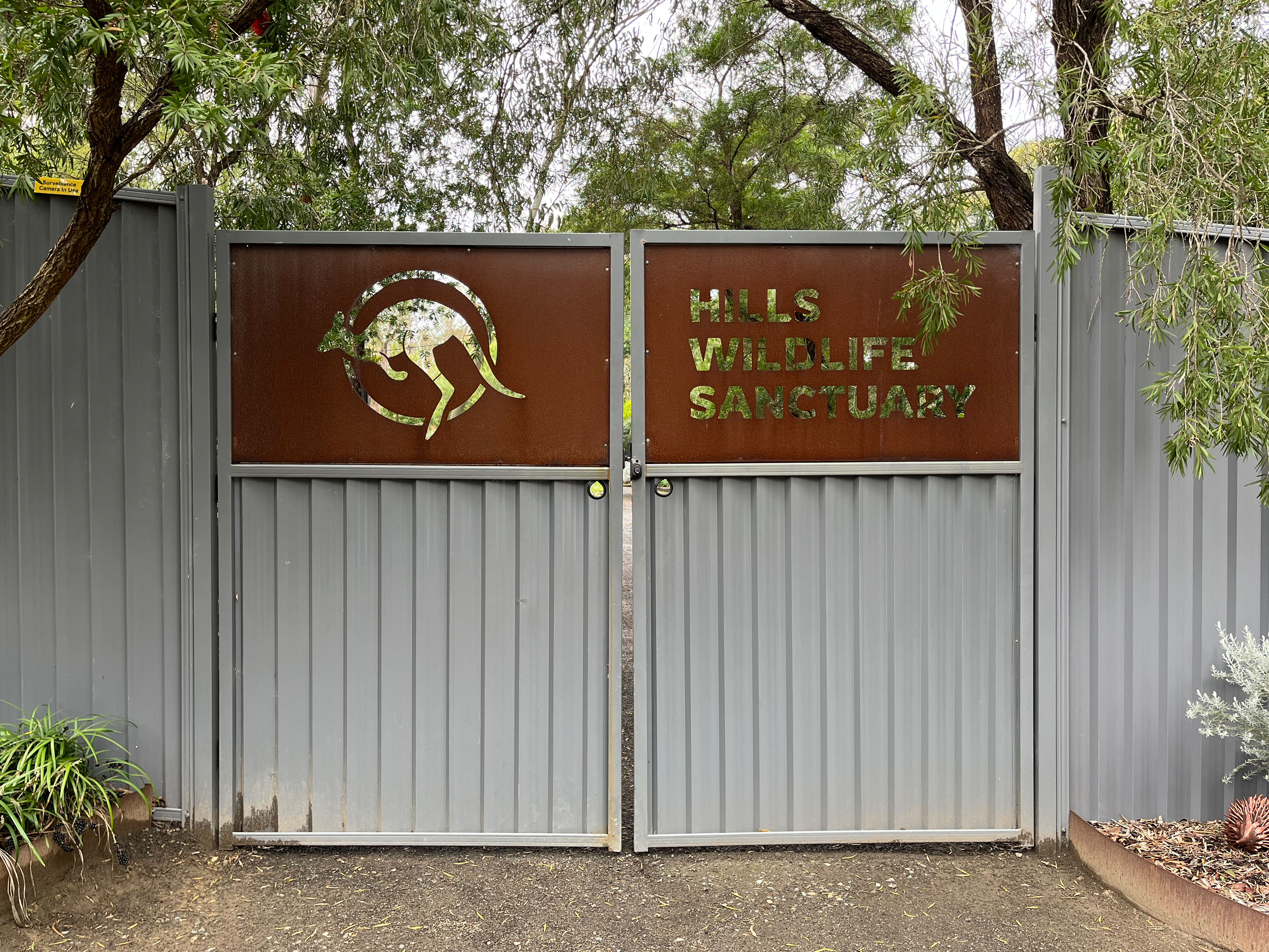 Hills Wildlife Sanctuary Bird Photography Experience, 25th September, 2026