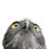Thumbnail: Nina, Barking Owl
