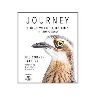2026_BirdWeekFlyer_website.jpg