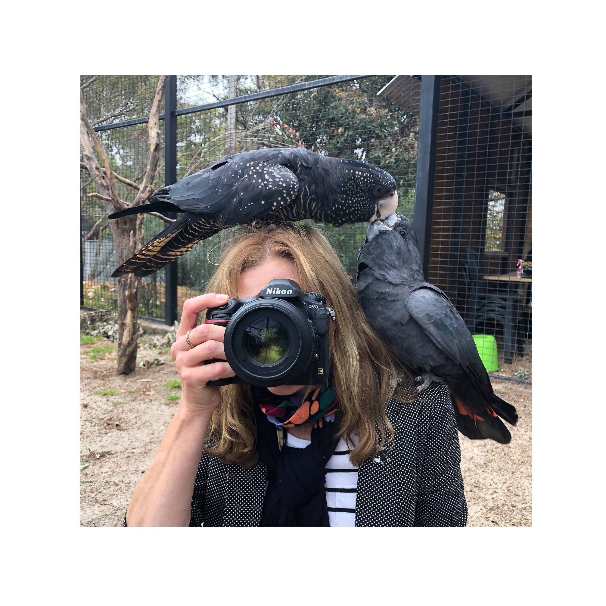 Angela Robertson-Buchanan Photography