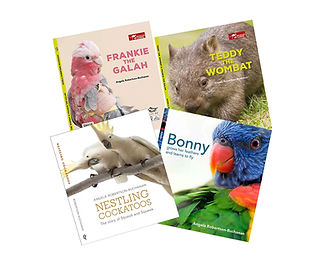 4Books_2.jpg