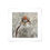 Thumbnail: Habitat Series -Kookaburra II