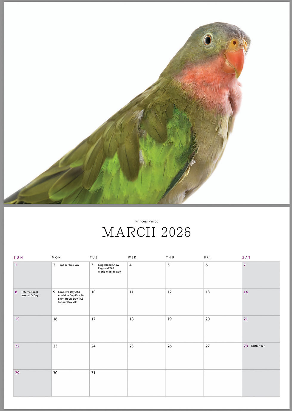 Thumbnail: Feathered Friends - 2026 Calendar