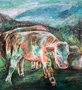 kühe ölkreide 40x31cm 4163.jpg