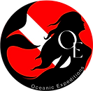 OE-logo.png