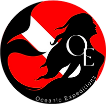 OE-logo.png