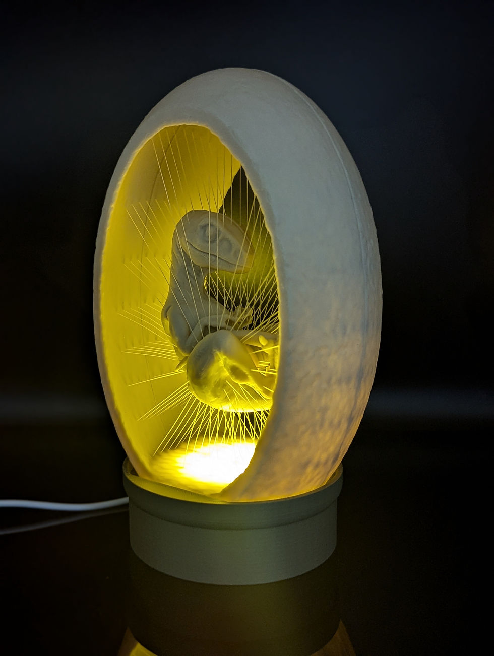 Thumbnail: Velociraptor Fossil Light