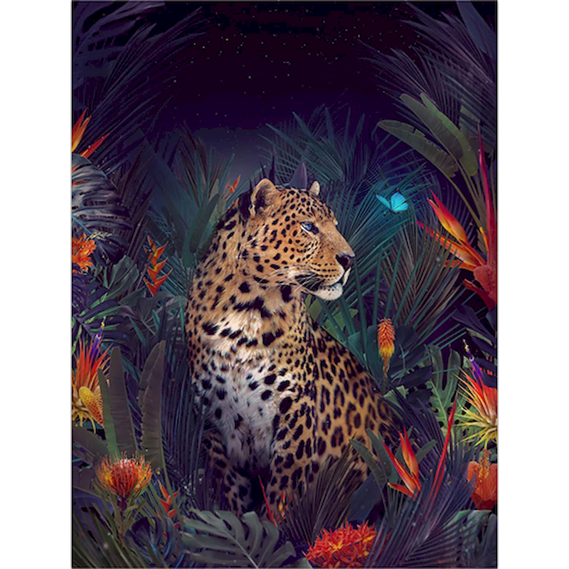 Thumbnail: SDOYUNO 60x75cm Paint By Numbers For Adult Flower And Animals DIY Oil Painting B