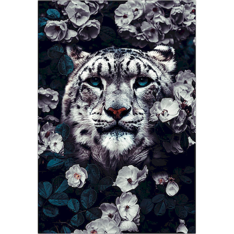 Thumbnail: SDOYUNO 60x75cm Paint By Numbers For Adult Flower And Animals DIY Oil Painting B