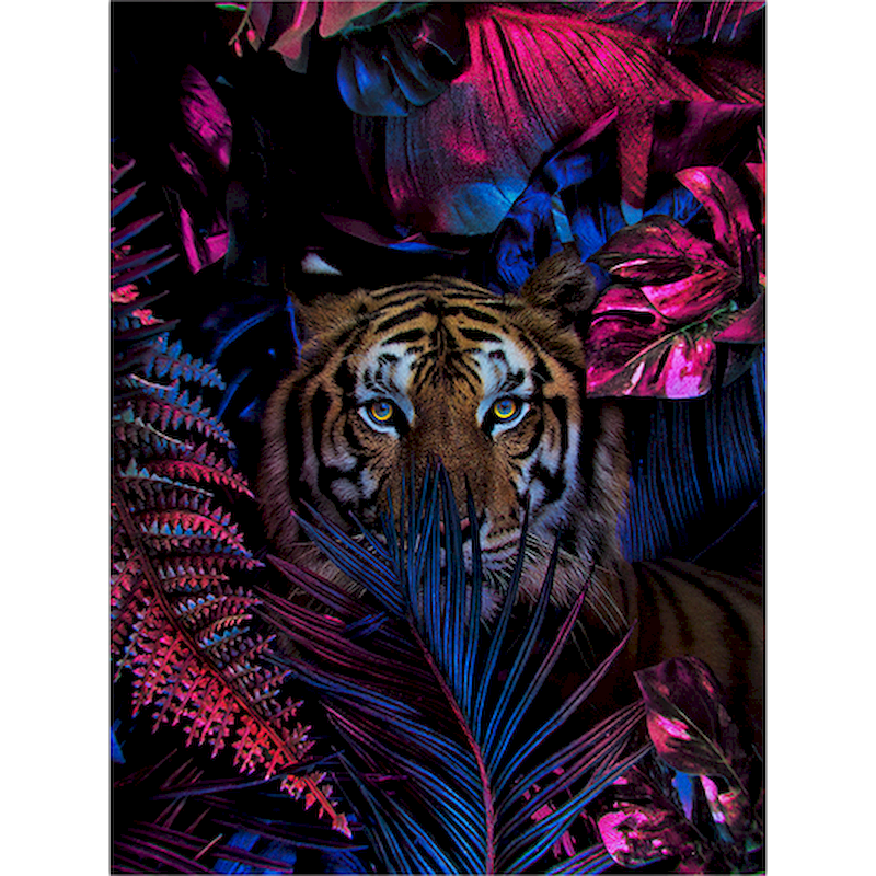 Thumbnail: SDOYUNO 60x75cm Paint By Numbers For Adult Flower And Animals DIY Oil Painting B