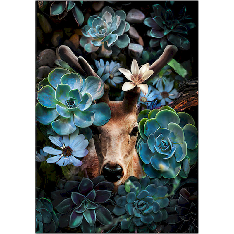 Thumbnail: SDOYUNO 60x75cm Paint By Numbers For Adult Flower And Animals DIY Oil Painting B