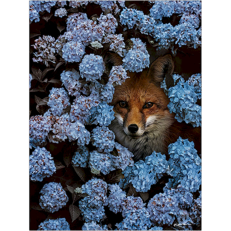 Thumbnail: SDOYUNO 60x75cm Paint By Numbers For Adult Flower And Animals DIY Oil Painting B
