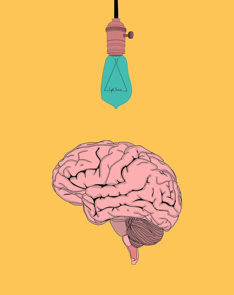 light brain color 2.jpg