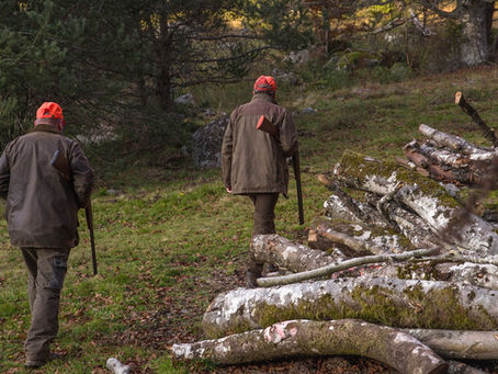 Quelques informations sur la chasse