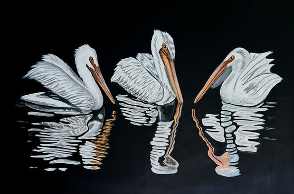 Three Pelicans | Acrylic