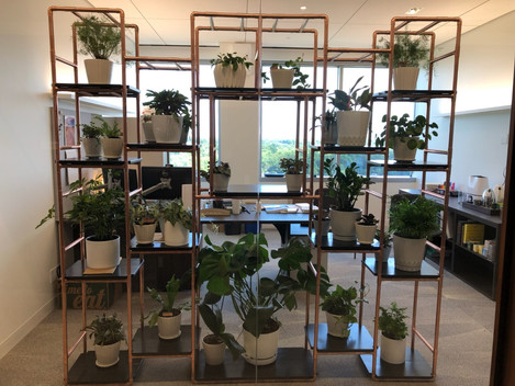 Multi-tier Plant Stand