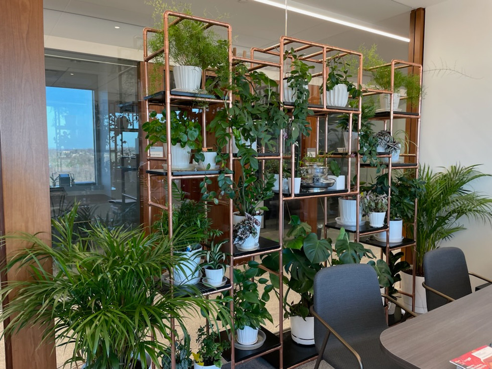 Multi-tier Plant Stand