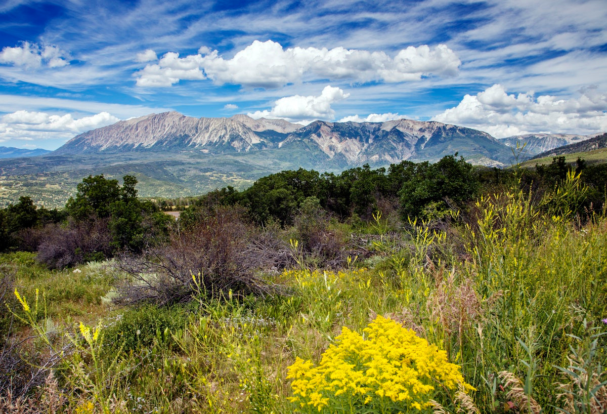 Discussion - Colorado Poly Weekend Public Info | ColoradoPolyWeekend