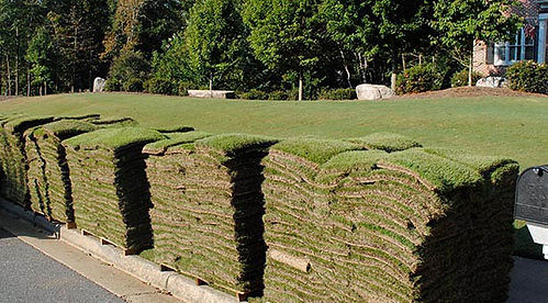 Sod & Grass Installations North Atlanta Area