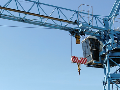 inspect_crane.png