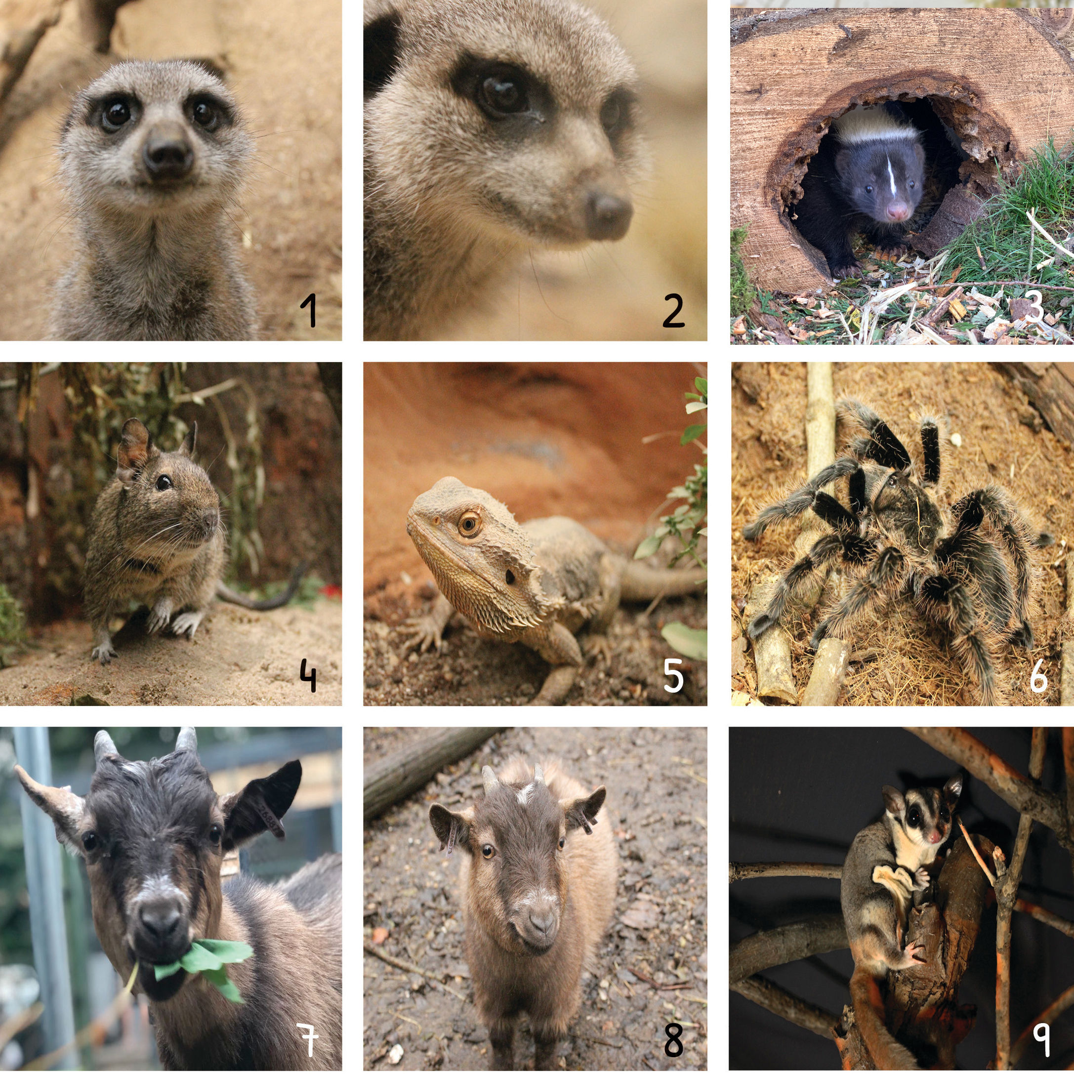 ARC Super Soft T-Shirts