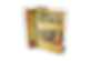 BrokenPastHealsDreams_3D CVR(1).png