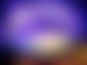 What Will Our Future Look Like