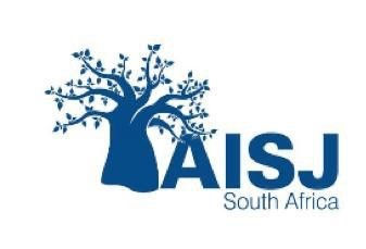 The American International School