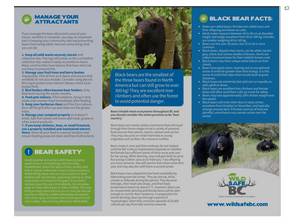 If you go out in the woods today, you might just see a black bear...