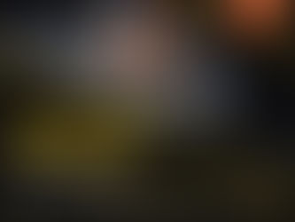 Vashikaran Specialist