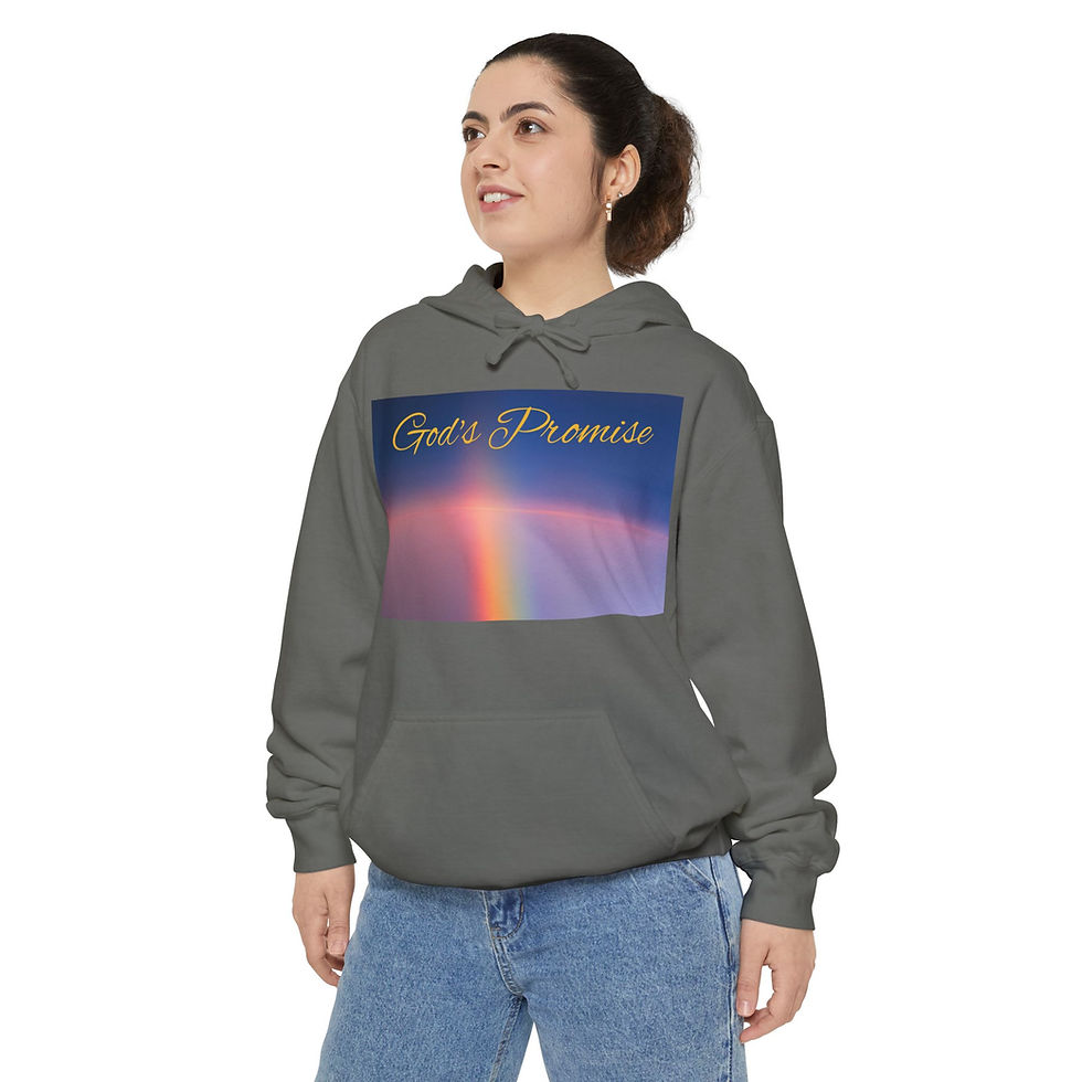 थंबनेल: Hoodie God's Promise Manufactured in the USA Unisex