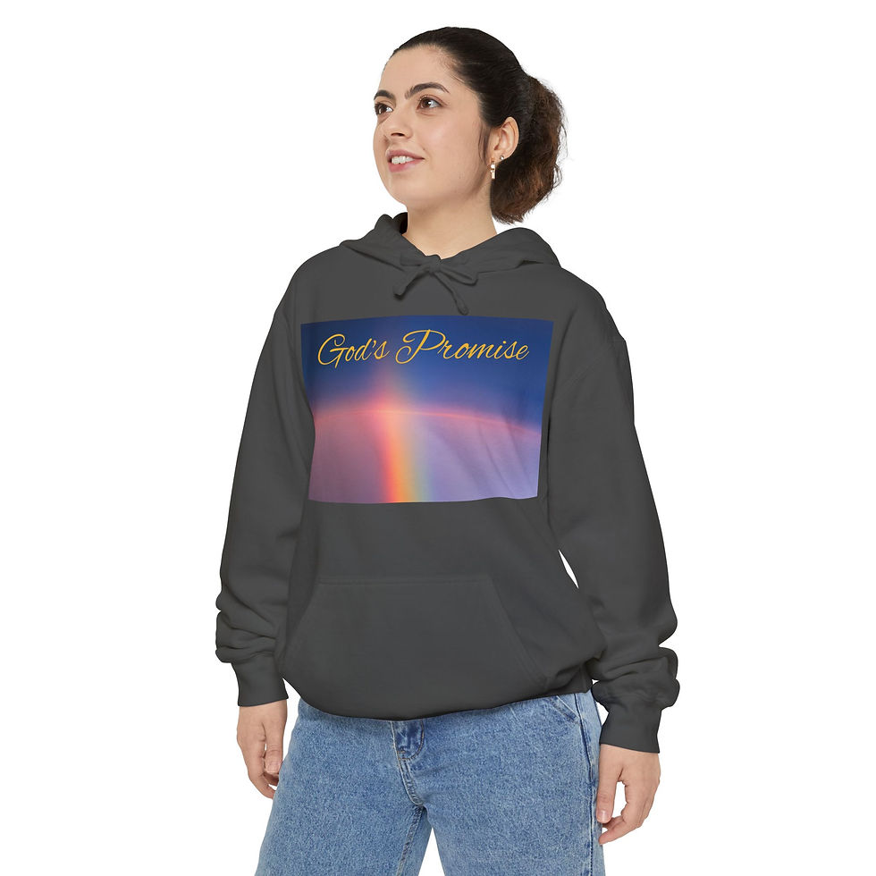 Thumbnail: Hoodie God's Promise Manufactured in the USA Unisex