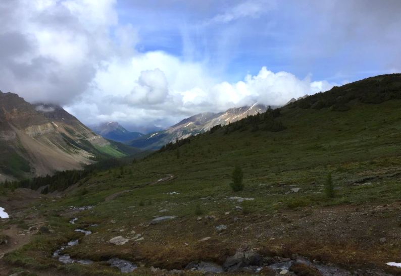 merlin meadows campground