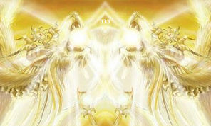 333 christcodes-1200x772.jpg